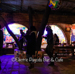 Electric Pagoda Bar/Cafe