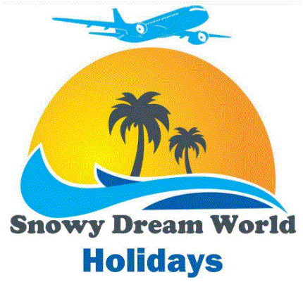 Snowy Dream World – Holidays